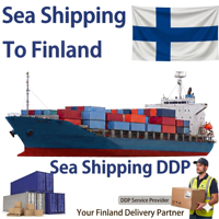 Agente de Transporte Marítimo, Contenedor de Envío FCL a Finlandia, Europa, 20 pies, 40 pies, LCL, DAP, DDP, Servicio de Consolidación, Transitario de Carga Marítima