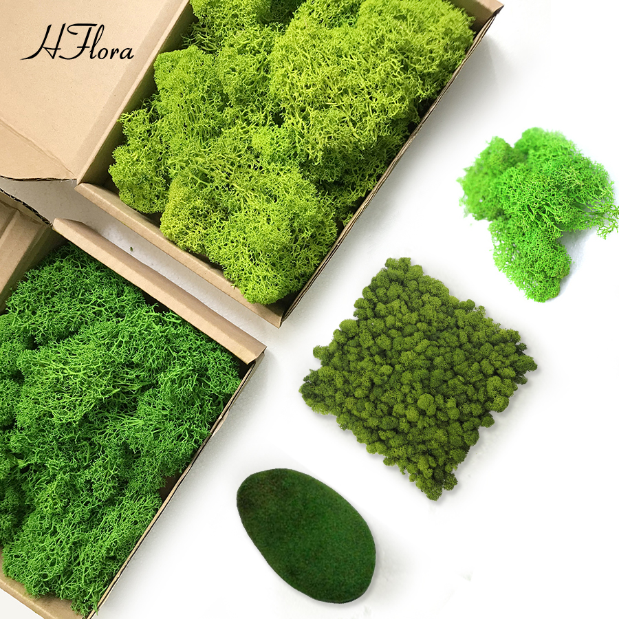 Восстановленный мох Hflora, домашнее свадебное украшение для стен, оленевой мох, стабилизированный натуральный белый мох для украшения стен