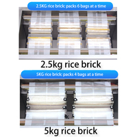 Machine d'emballage sous vide industrielle, scelleuse sous vide alimentaire pour la maison, pour l'emballage de nourriture, de viande et de riz