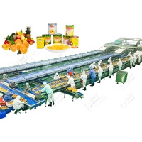 Kant En Klare Gele Perzik Inblikkende Productielijn Omvat Belangrijke Zuivelverwerkingsmachines Voor Verse Fruit Ingeblikte Producten
