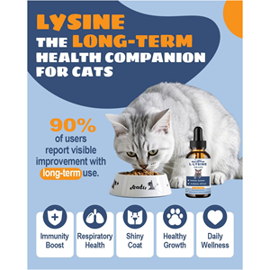 OEM/ODM Oscar Suppléments liquides <span class=keywords><strong>pour</strong></span> animaux de compagnie L-<span class=keywords><strong>Lysine</strong></span> <span class=keywords><strong>pour</strong></span> chats Codonopsis Astragalus Support immunitaire et de santé - Product Image 3