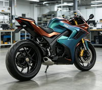 2026 Professional Grade Racing Motorcycle 3000W-5000W 60-120km/h Full Lighting System for Night Riding Safety MAYA MY-DUCASU