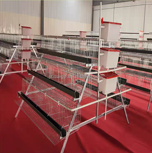 Jaulas galvanizadas tipo A/H para gallinas ponedoras jóvenes de 4 niveles y 3 capas para granjas avícolas, 10000/20000 unidades - Product Image 1
