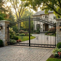 Adorno Decorativo de Estilo Clásico Europeo Personalizado, Remate de Hoja Doble para Puerta de Acero de Entrada de Villa