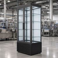 Vitrine réfrigérée verticale à double porte vitrée commerciale 220V 250W 2-8 ° Réfrigérateur vertical pour boissons