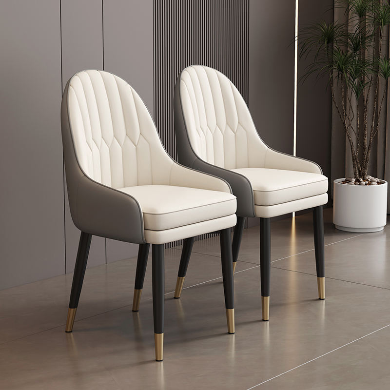 Nordic Modern Design Metal Dining Chair