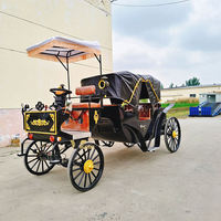 Calèche électrique pour touristes, calèche de tourisme