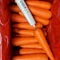 Nouvelles récoltes de carottes rouges fraîches, directement de l'usine, prix bas, carottes jaunes propres et lavées
