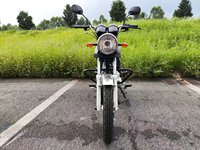 Motor Chopper CJ-dynasty CJ-125XP 125cc Bensin Roda Dua Kecepatan Maksimum 90Km/jam Penjualan Langsung Pabrik Cina untuk Perjalanan Sehari-hari