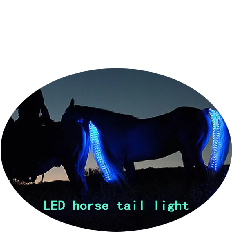 120MA USB wiederauf ladbare LED-Licht leisten Pferd Rücklicht 100cm Länge 85 Stück Lampen