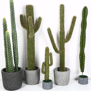 Plastique <span class=keywords><strong>Cactus</strong></span> Succulentes grandes plantes artificielles en pot - Product Image 1