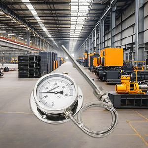 Aço Inoxidável de alta Qualidade 0-650 Graus Isolados Dial Gauge Termômetro Metal Pressão Capilar Uso Industrial Água Óleo - Product Image 4