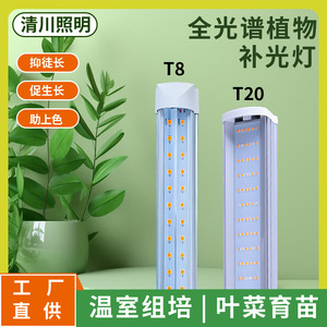 Lámpara <span class=keywords><strong>de</strong></span> Cultivo LED T20 <span class=keywords><strong>de</strong></span> Alta Eficiencia <span class=keywords><strong>para</strong></span> Cultivo Interior e Hidroponía - Product Image 4