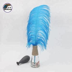 Plumes d'autruche colorées pour la décoration de vase à domicile en DIY - Product Image 1