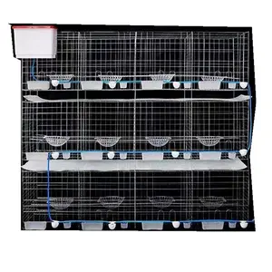 High Quality Pigeon Cage Breeding With Pigeon Accessories For Sale