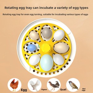 Mini incubateur à œufs compact, capacité de 4 œufs de grande taille, alimentation USB, retourneur automatique d'œufs avec contrôle de la température et ovoscope pour poulets et canards - Product Image 5