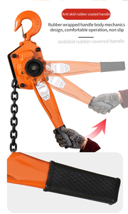 <span class=keywords><strong>250kg</strong></span> 0.75ton 5ton Ratchet đòn bẩy khối <span class=keywords><strong>hoist</strong></span> - Product Image 6