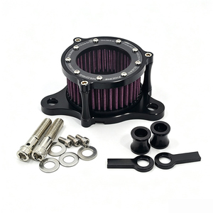 Kit de filtro de aire transparente CNC para motocicleta Harley XL883 XL1200, filtro de aire retro vintage, elemento filtrante rojo - Product Image 1