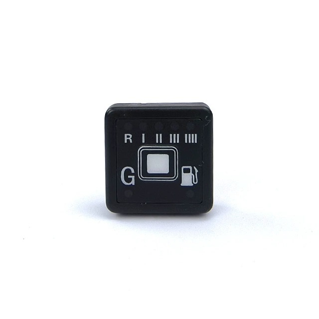 Ecu CNG LPG Changeover Switch for Conversion Kit MP48