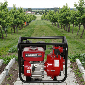 Bombas de Riego Agrícola Automáticas Mini de Alta Capacidad de 3/4 Pulgadas, Bombas de Agua Móviles de Gasolina con Soporte OEM Personalizado - Product Image 2