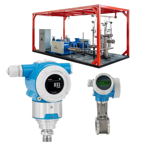 Module de commutation avec débitmètre Endress+Hauser Proline Prowirl D 200 et module de commutation Cerabar PMP50 - Product Image 1