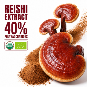 Qinshantang China Organic Food Grade Reishi <strong>Mushroom</strong> 40% Polysacchairde White Extract Concentrate Powder - Product Image 1