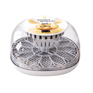 Incubadora de Huevos WON EGG 2026 de Buena Calidad, Incubadora Totalmente Automática con Capacidad para 12 Huevos en Venta - Product Image 1