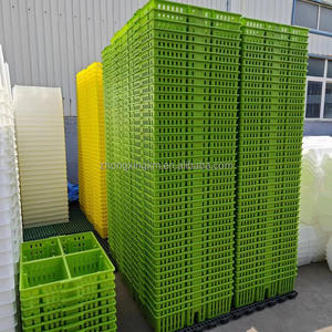 ตะกร้าไก่เด็กพลาสติก กล่องขนส่งไก่ จัดส่ง ตะกร้าไก่ PP อายุ 1 วัน ขาย กล่องหมุนเวียน 4 ฉากกั้น - Product Image 3