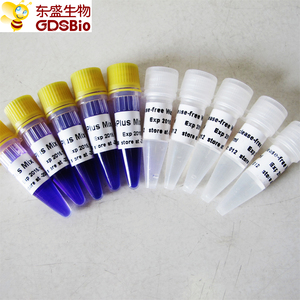 2x Plus mezcla <span class=keywords><strong>PCR</strong></span> maestro mezcla P2031-P2032 - Product Image 6