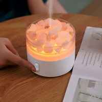 Diffuseur d'huiles essentielles EEssen 250mL, diffuseur de lampe à sel 3-en-1, lampe à sel de l'himalaya, diffuseur d'aromathérapie et humidificateurs