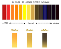 Bandelettes de test de pH universelles pour produits chimiques de laboratoire, papier indicateur de pH 1-14, papier de test de pH 0-14
