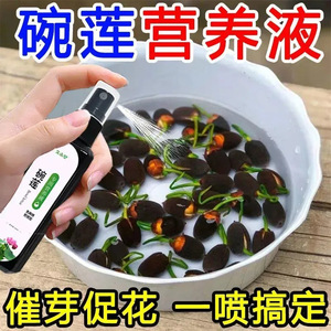 Solución nutritiva Kyushu Garden Bowl Lotus, fertilizante líquido de 100 ml para promover la floración y el crecimiento de ramas. - Product Image 4