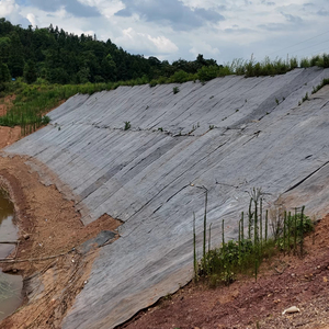 Hiệu quả cao địa Kỹ Thuật Tổng kiểm soát xói mòn bê tông chăn 10mm 12kg/sqm GCL xi măng vải cho khai thác mỏ - Product Image 1