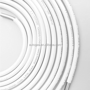 Số 1 Tự Động Khí 6Mm Chuyển Đổi Bộ Dụng Cụ Phổ Áp Lực Cao Cng Phun Nhiên Liệu Với New Nhựa 6Mm Ống - Product Image 3