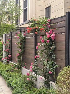 Panneaux de clôture de jardin en composite <span class=keywords><strong>bois</strong></span>-plastique (WPC) en alliage d'aluminium à <span class=keywords><strong>prix</strong></span> abordable, résistants à la corrosion, imperméables et faciles à installer - Product Image 4