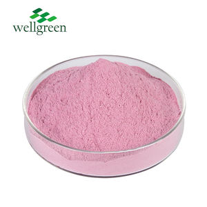 Venda quente Alta Água Pó De Bebidas Solúvel Laranja Sangue Concentrado Suco Em Pó Laranja Vermelha Em Pó - Product Image 2