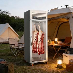 Congelatore Espositore Commerciale per Carne Rebirth con Display Digitale, Raffreddamento Diretto, Acciaio Inossidabile 304, Design Verticale Sospeso - Product Image 2