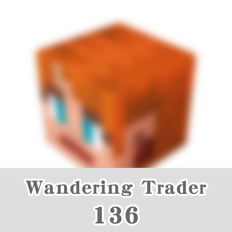 136-comerciante errante18