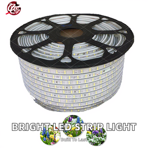 Bande <span class=keywords><strong>LED</strong></span> Gowin à haute luminosité SMD2835, 120 <span class=keywords><strong>LED</strong></span>/m, AC110V/220V, double rangée, indice de protection IP67, matériau PVC, CRI80, garantie de 3 ans - Product Image 2