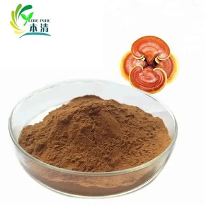COREPURE 뜨거운 판매 순수 천연 무료 샘플 건강 유기농 Reishi 버섯 추출물 분말 - Product Image 1