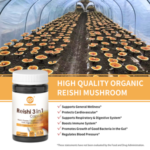 OEM/ODM <span class=keywords><strong>Ganoderma</strong></span> <span class=keywords><strong>Lucidum</strong></span> <span class=keywords><strong>Capsule</strong></span> 3 in 1 suplemen jamur Reishi - Product Image 3