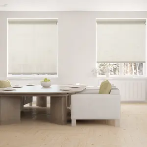 Cortinas De Rolo Motorizadas Elétricas Tons De Filtragem De Luz Transparente Superior e Inferior Decoração De Casa Moderna De Luxo Espaço Plain Presentes