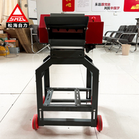 Machine à couper les fourrages à bande transporteuse automatique haute efficacité, prix usine, pour l'alimentation animale