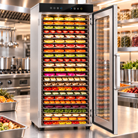Voedseldroogmachine, commerciële voedseldroger, droogapparatuur voor fruit, groenten, vlees, kruiden en industrieel gebruik