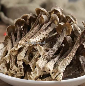 Venta caliente Pilose Antler Mushroom Deer Velvet Antler Todo secado VF Proceso Fried Chicken Mushroom Fungus Barato - Product Image 5
