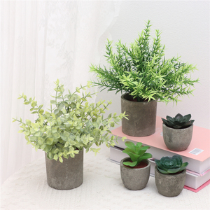 Lot de 5 plantes artificielles Greatflower durables pour <span class=keywords><strong>intérieur</strong></span> : <span class=keywords><strong>Eucalyptus</strong></span>, Romarin, Succulentes en <span class=keywords><strong>pot</strong></span> en papier pour décoration de bureau et de maison - Product Image 1