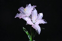 Cadeaux d'entreprise pour la Fête des Mères : Fleur de lys en verre soufflé artisanal transparent, élégante décoration florale pour la maison, idéale pour la présentation dans le salon, l'intérieur de boutique et la table de mariage.