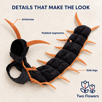 Costume de chat centipède d'Halloween noir et orange en peluche pour enfant avec capuche pour fêtes cosplay et accessoires photo en extérieur