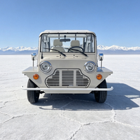 Gökkuşağı EEC Sertifikalı Yeni Tasarım Lityum Bataryalı 4 Kişilik Elektrikli Moke Plaj Arabası 96V Orijinal Versiyon Moke Otomobil