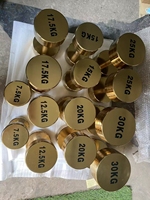 Noyau en acier fini chromé Snbo 20 35 50 100 150 lb haltère Lbs haltères à extrémité ronde pour Gym Fitness